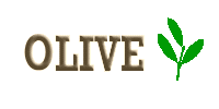 OLIVE Logo